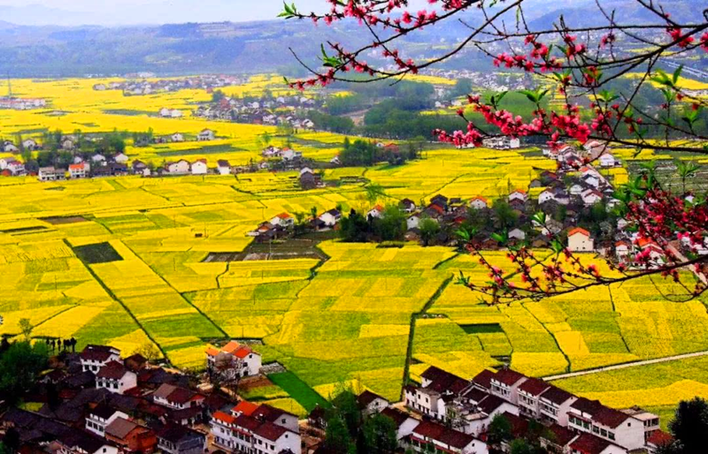 春天的模樣-配圖1.png 春天的模樣-配圖1.png