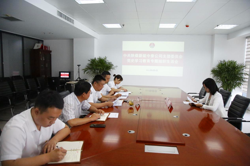 中泰公司黨支部召開黨史學(xué)習(xí)教育專題組織生活會(huì)