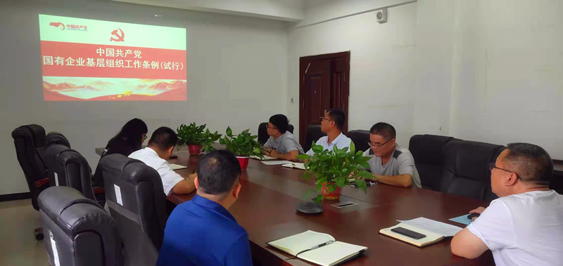 仙桃公司黨支部對《中國共產黨國有企業基層組織工作條例(試行)》進行再學習再落實
