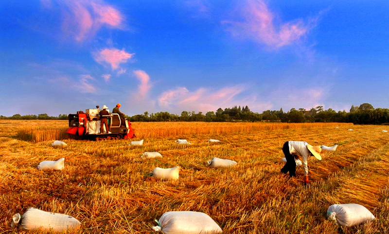 圖片 7.png 圖片 7.png