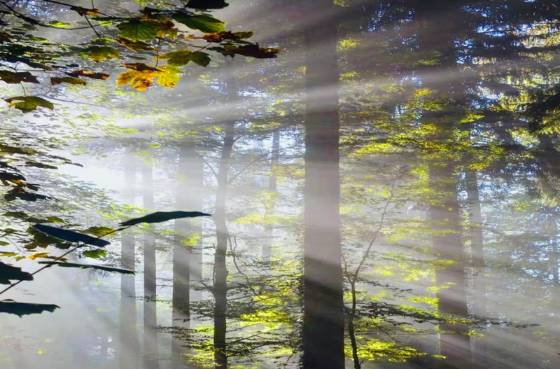 圖片 2.png 圖片 2.png