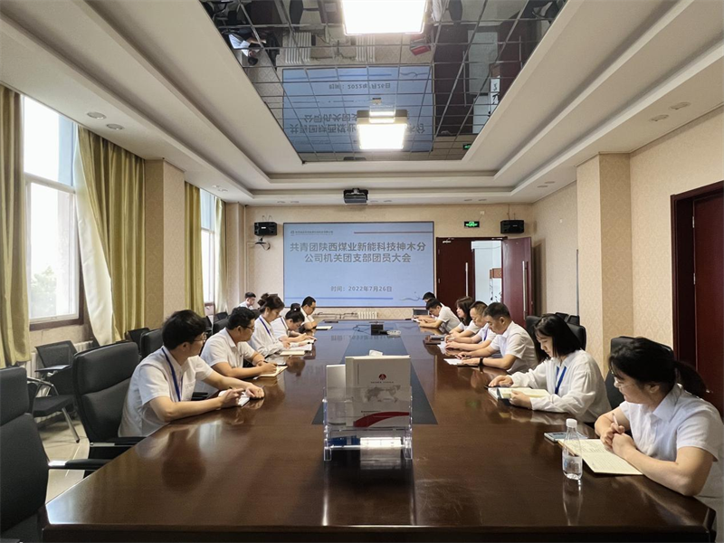 神木分公司機關團支部召開團員青年大會-1.png