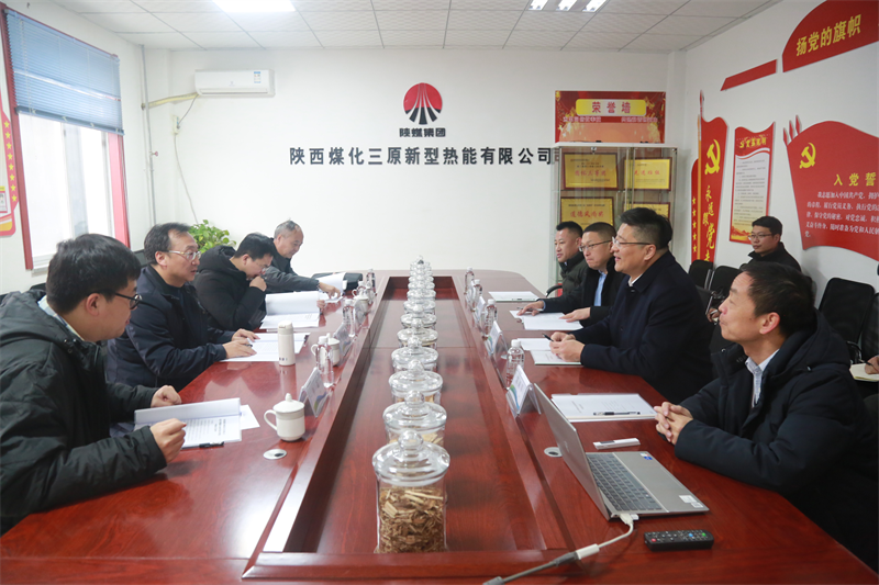 省國資委、省財(cái)政廳領(lǐng)導(dǎo)蒞臨新型能源三原公司調(diào)研指導(dǎo)工作.png