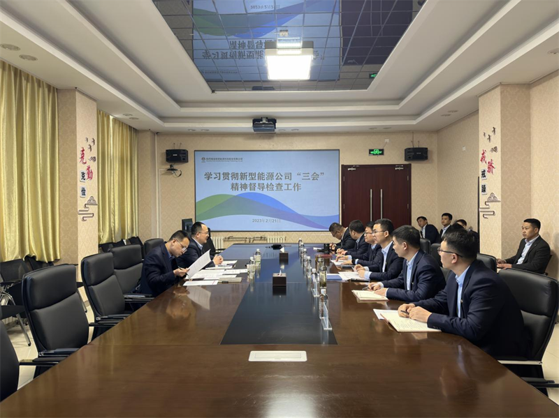 新型能源公司“三會(huì)”精神工作督導(dǎo)2.png