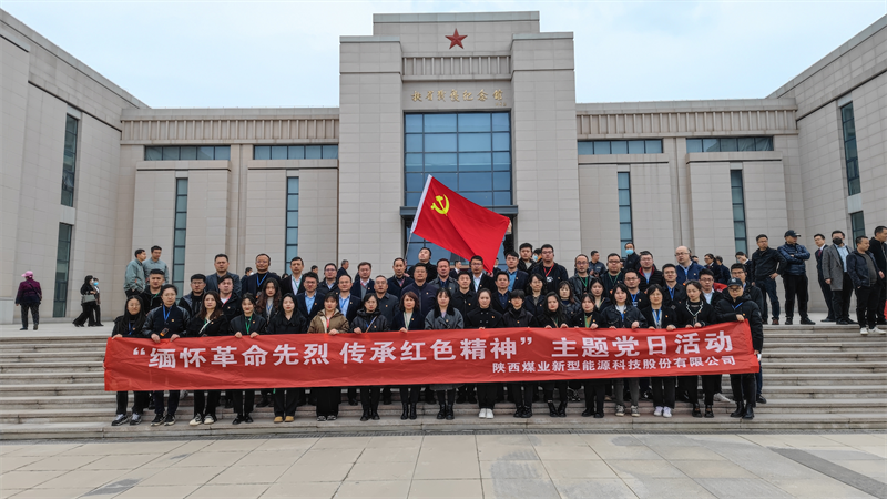 新型能源公司黨委組織開展“緬懷革命先烈 傳承紅色精神”主題黨日活動6.png