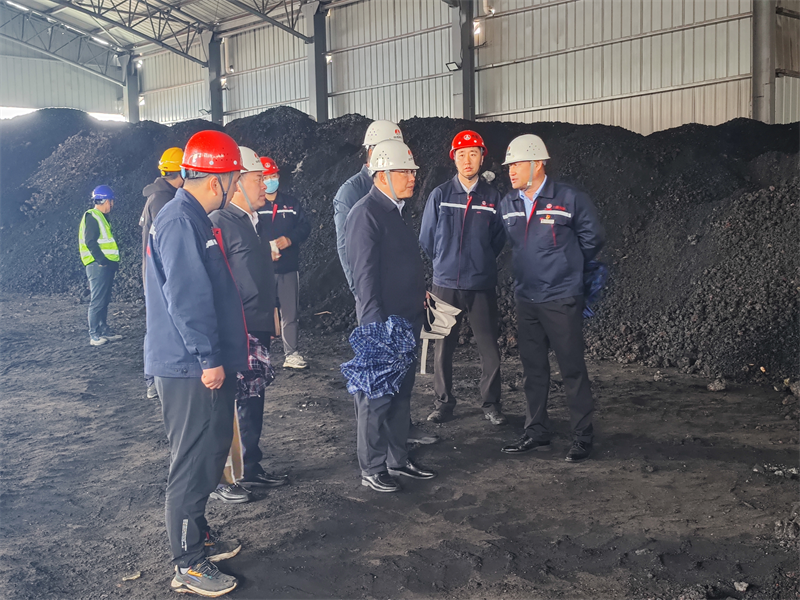 公司黨委副書記、總經理徐國強一行到三原公司檢查指導工作.png