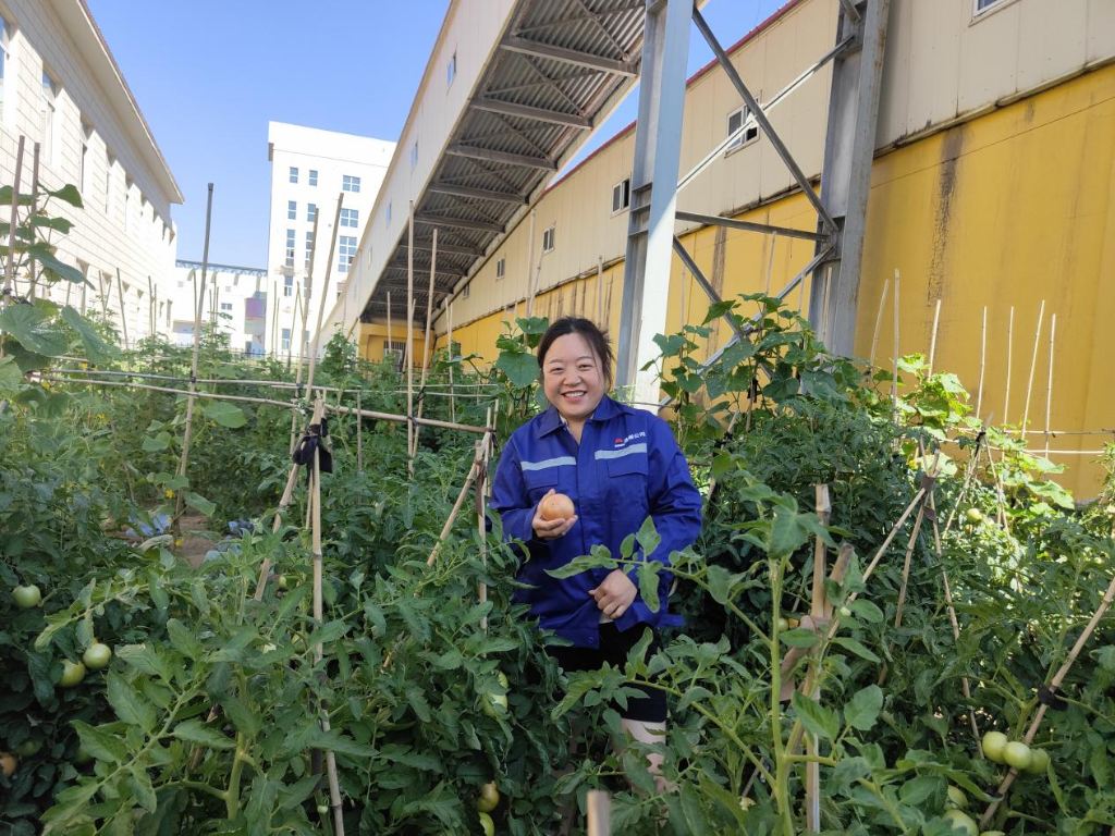 微信圖片_20230828152235.png 微信圖片_20230828152235.png