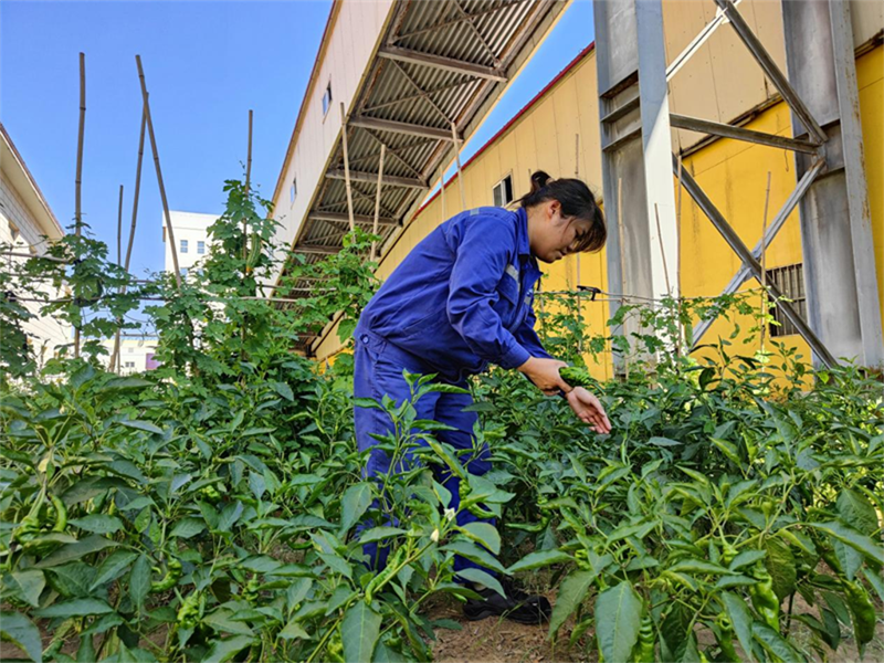 微信圖片_20230828152236.png 微信圖片_20230828152236.png