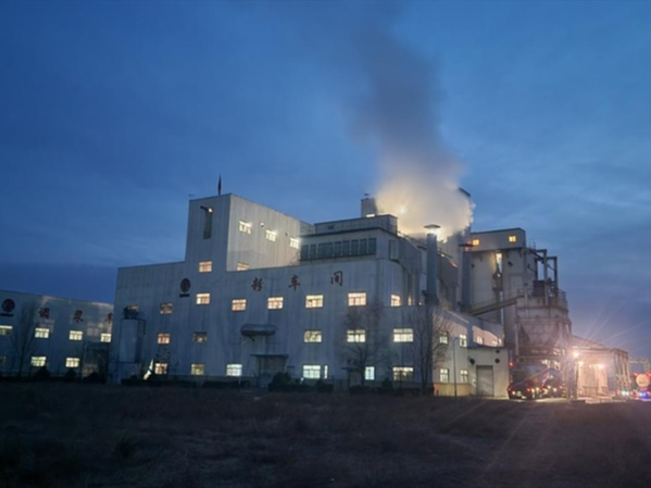 圖片3.png 圖片3.png