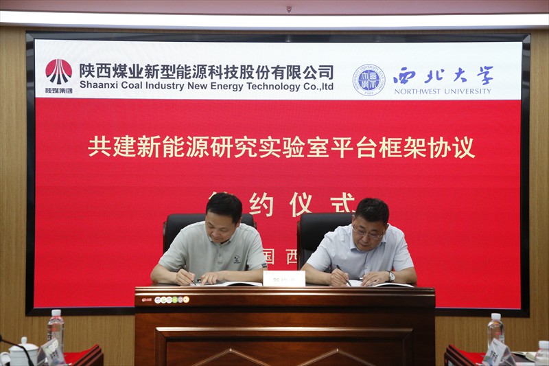 改革破題 創新引路——新型能源公司深化改革激活高質量發展新動能3.jpg