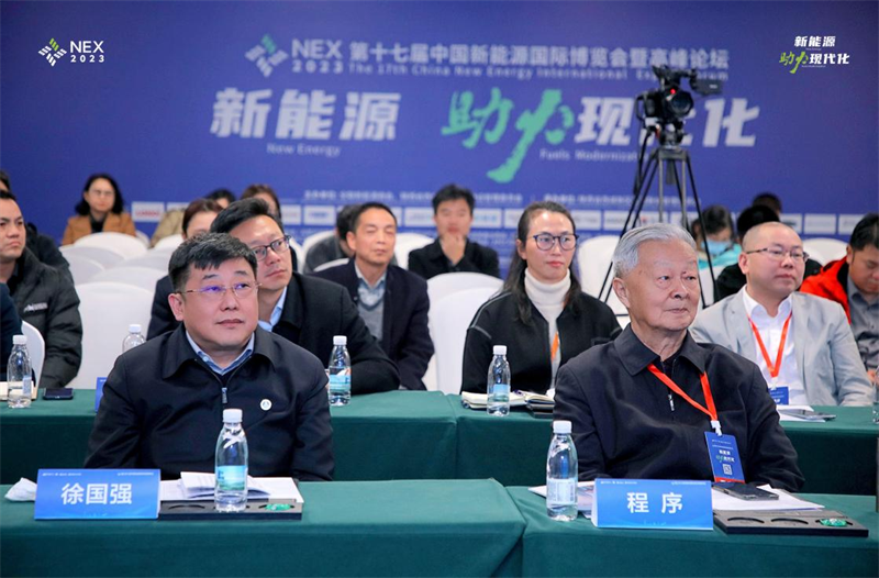 徐國強應邀參加第十七屆中國新能源國際博覽會暨高峰論壇并作主題演講