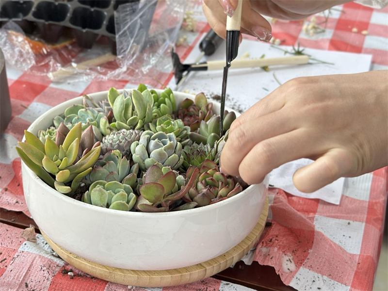 圖片6.png 圖片6.png