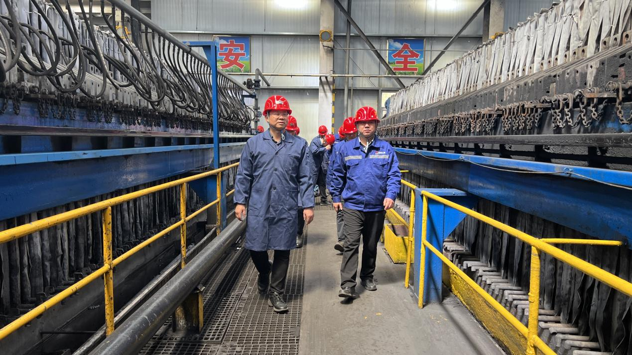 圖片1.png 圖片1.png