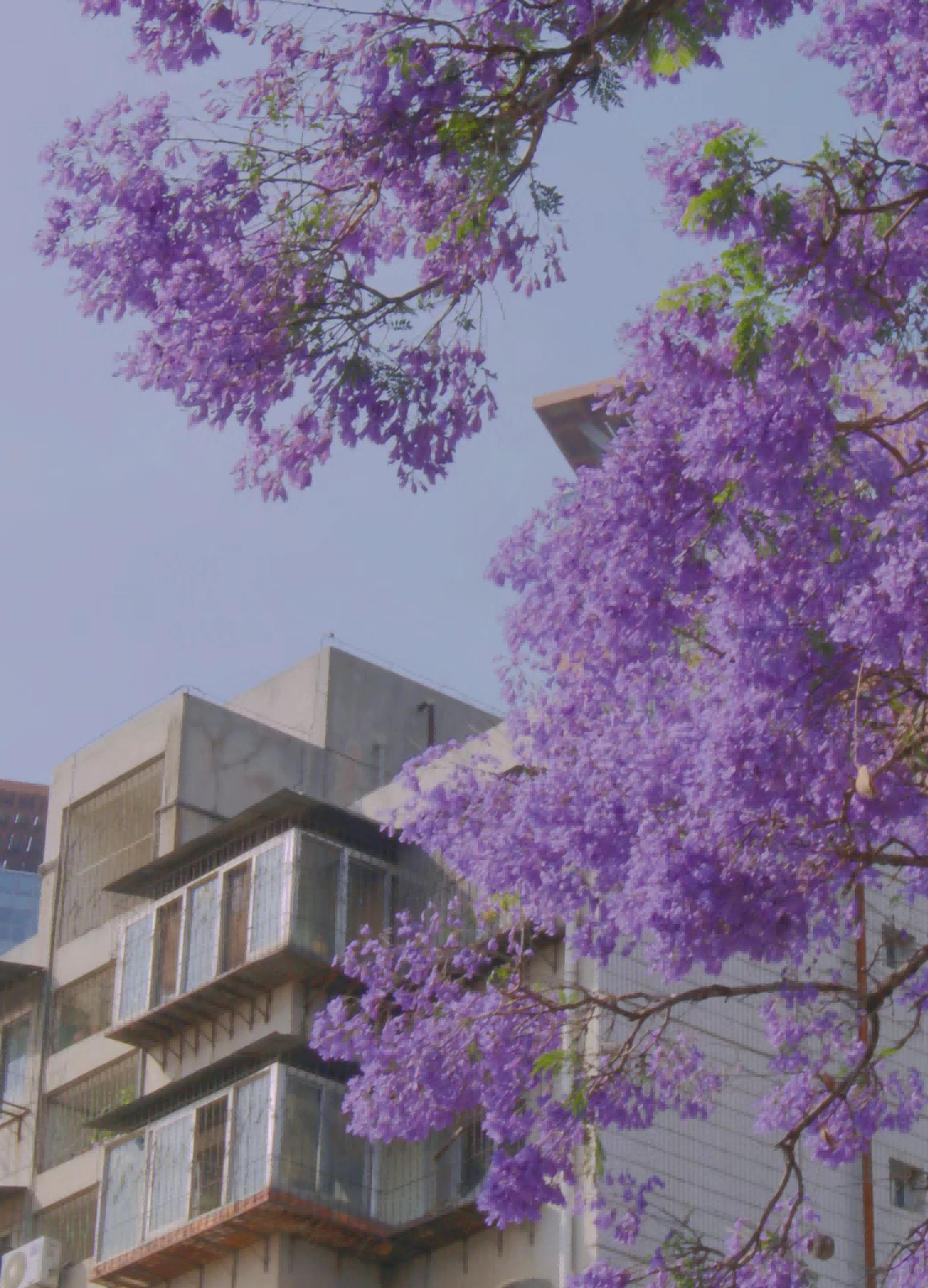 圖片1(1).png 圖片1(1).png