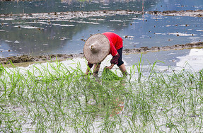 圖片13.png 圖片13.png