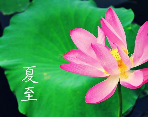 微信圖片_20240621184110.jpg 微信圖片_20240621184110.jpg