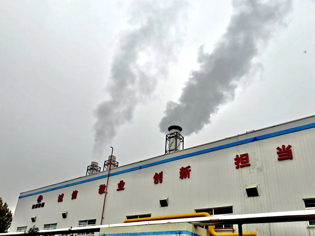 181731892009915541.jpg a52be7653861885bbe873d723e8a753.jpg