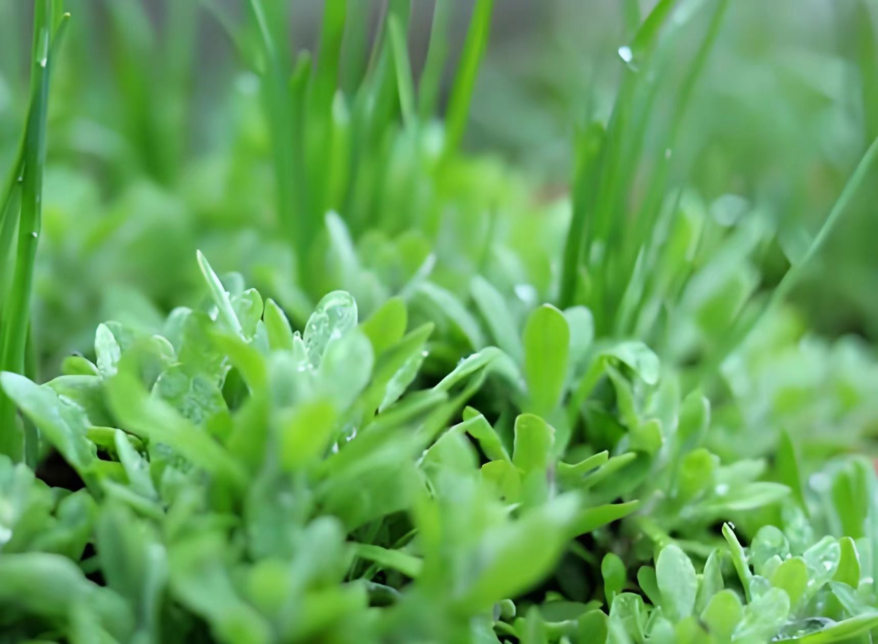 261742959381129441.jpg 微信圖片_20250326112218.jpg