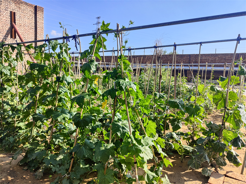 141744594471194497.png 圖片6.png