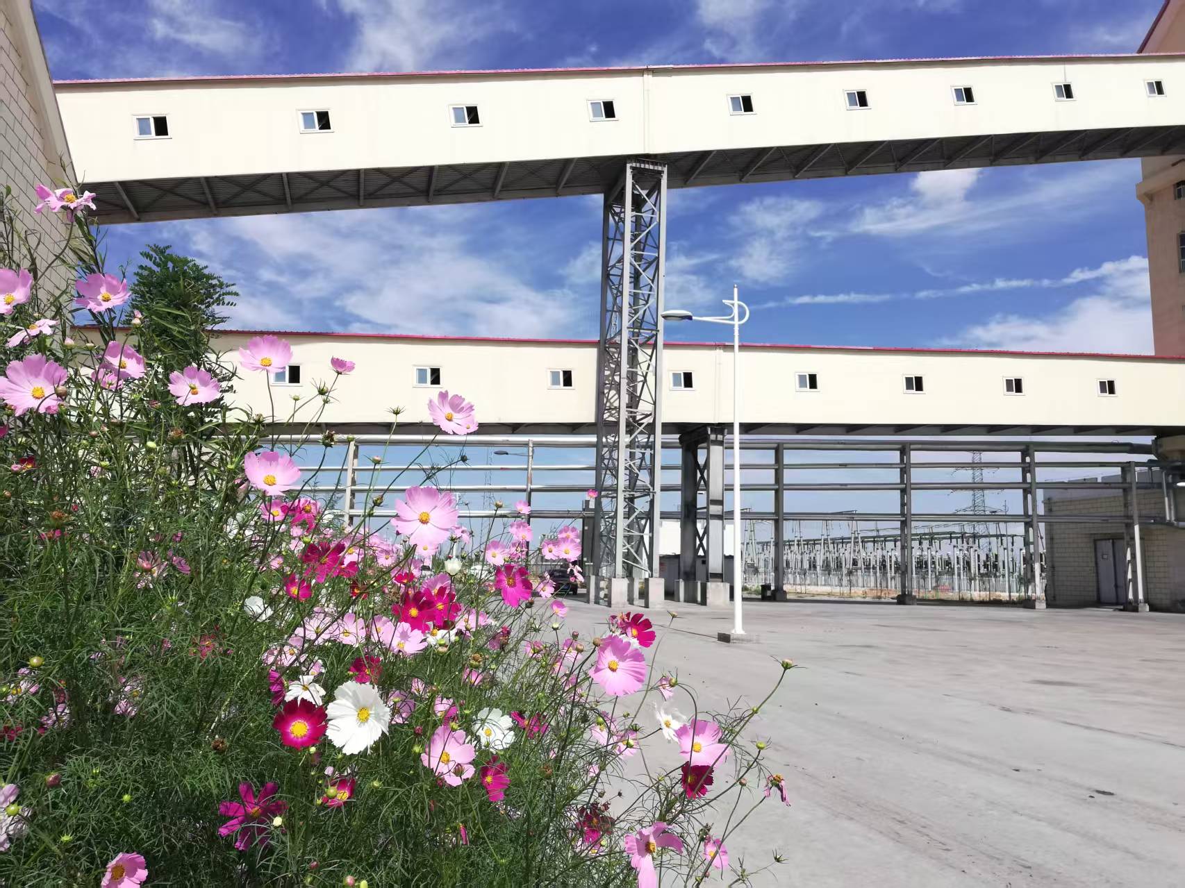 141744595901728586.jpg 微信圖片_20250414095437.jpg