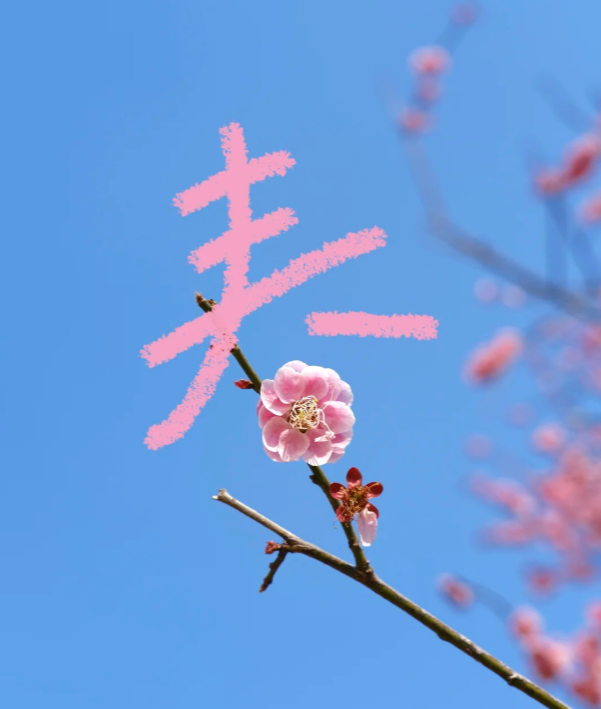 301745984580572962.png 圖片9.png