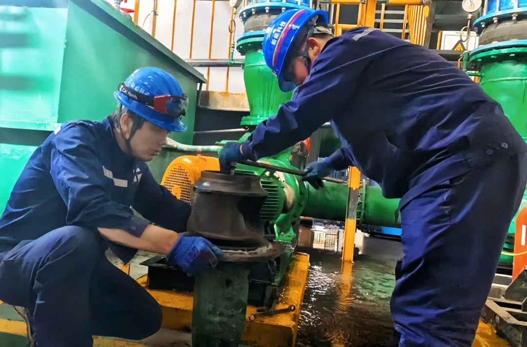 121747013159191118.jpg 微信圖片_20250512092541.jpg