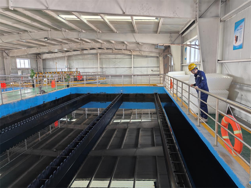 161757986524338324.png 圖片1.png