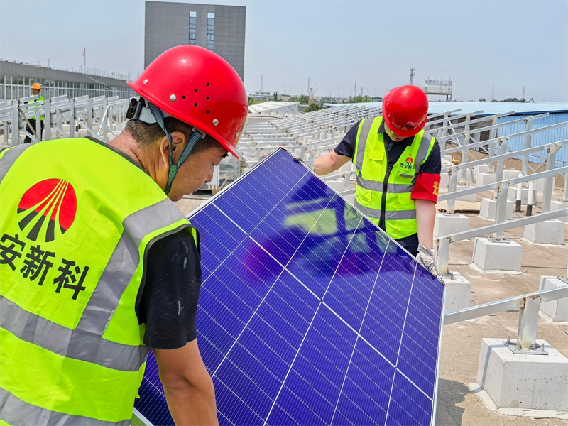 231758587839776219.png 圖片1(12).png